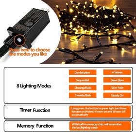 Clownya plug-in AC adapter enables easy, reliable setup.