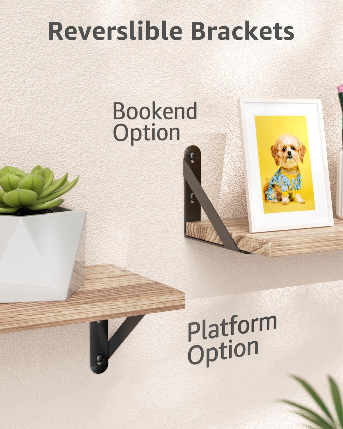Cocoya 90-degree triangle brackets ensure precise angles for level shelves.