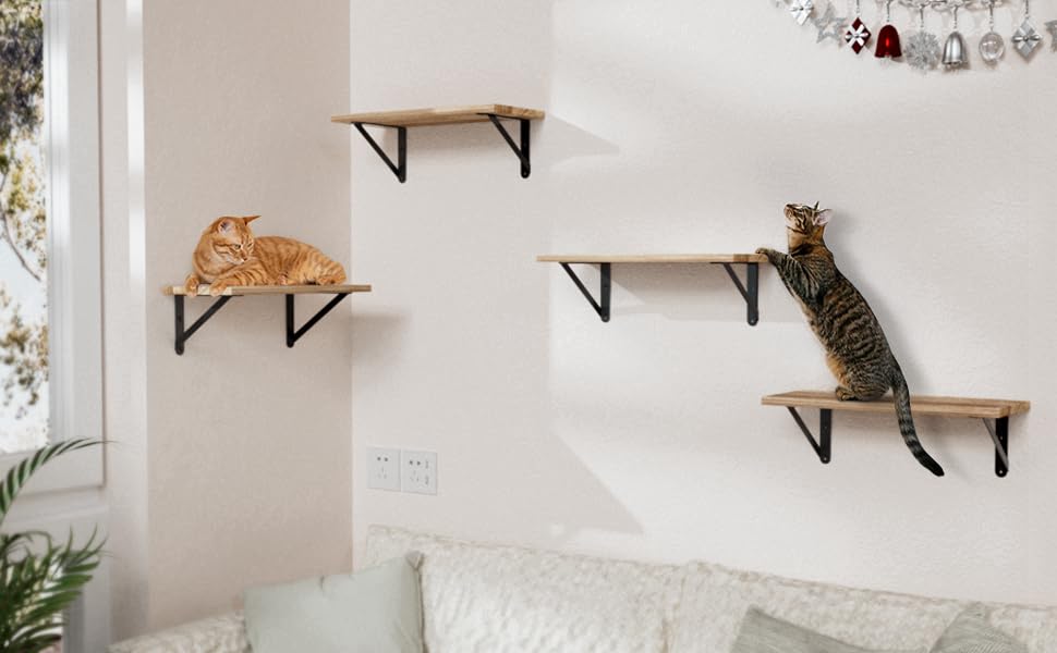 Cocoya brackets installed on wall support organized storage and stylish displays.