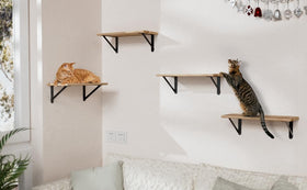 Cocoya brackets installed on wall support organized storage and stylish displays.