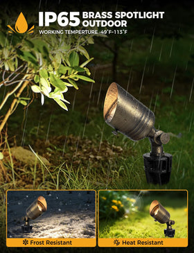 COLOER brass outdoor spotlight MR16 bulb emits warm 2700K glow