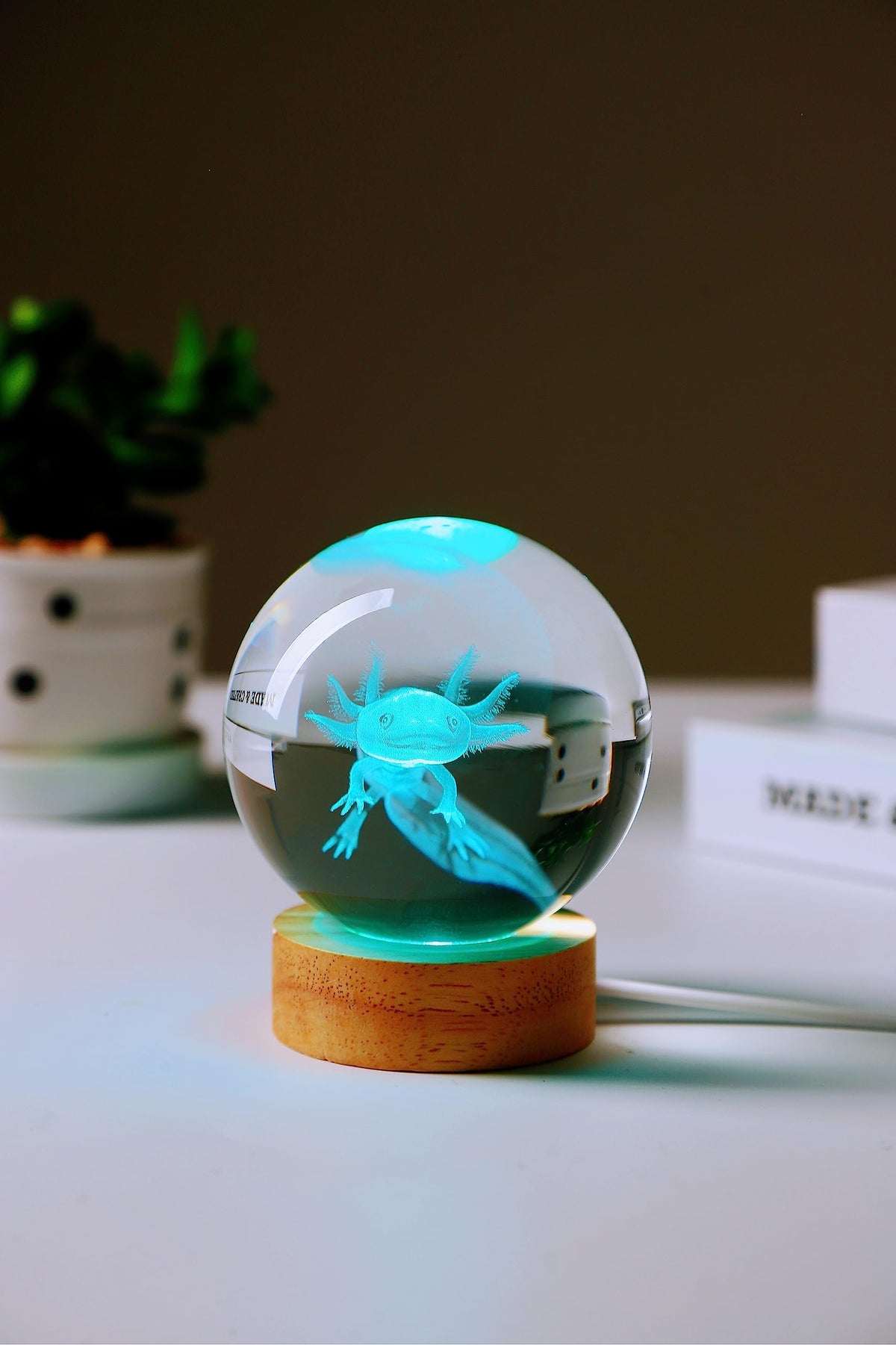 Conalisk axolotl crystal ball close-up shows intricate engraving.