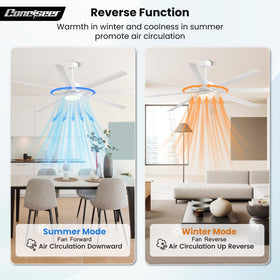 Conciseer 3CCT dimmable lights create warm or cool ambience