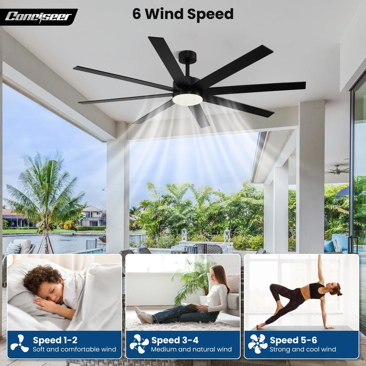 Conciseer dual-color eight-blade design highlights modern décor.