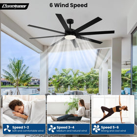 Conciseer dual-color eight-blade design highlights modern décor.