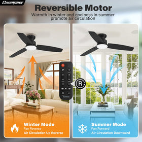 Conciseer quiet DC motor delivering near-silent operation across speeds