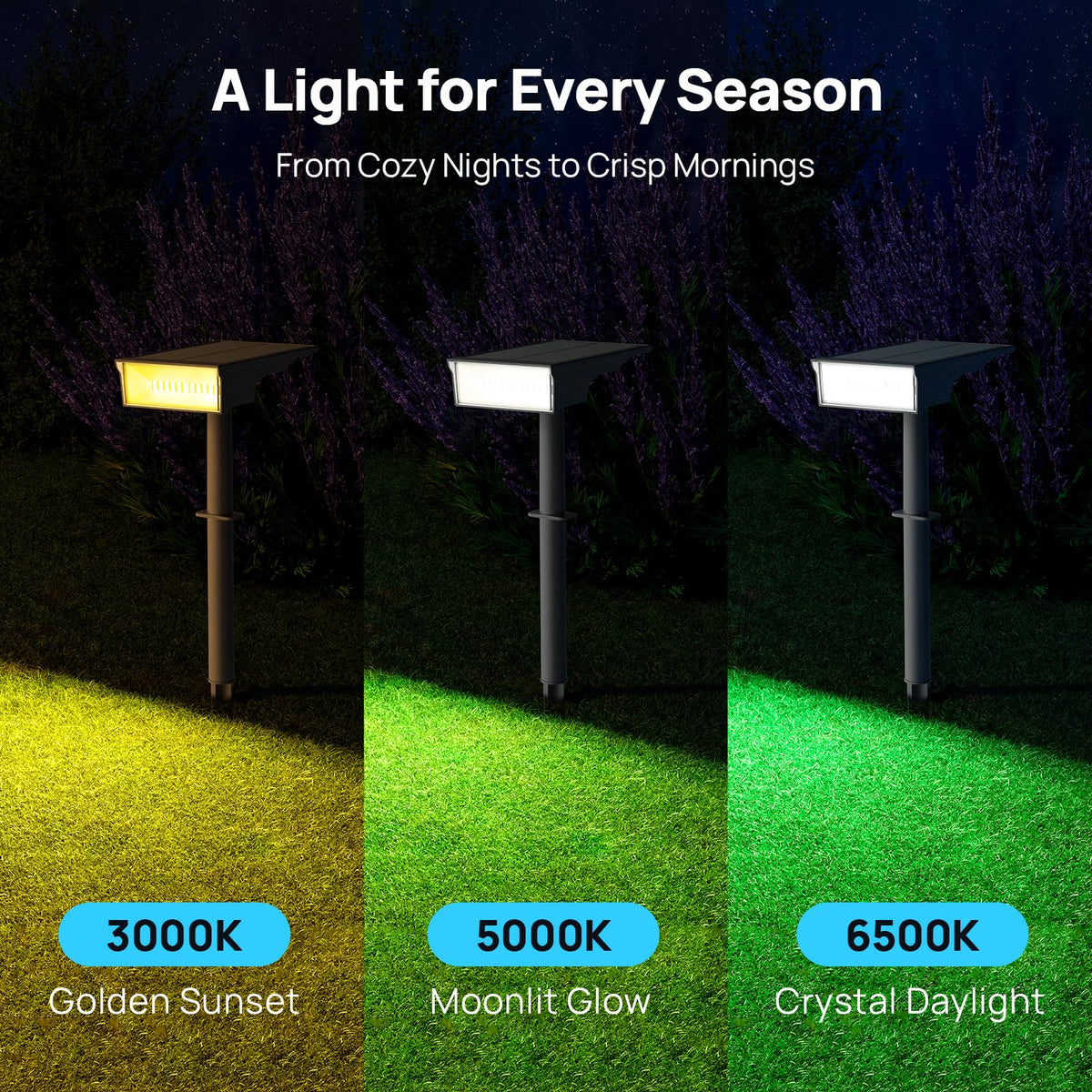 Consciot solar lights provide up to 600 lumens for bright pathway lighting
