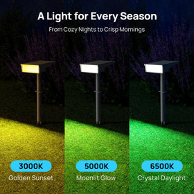 Consciot solar lights provide up to 600 lumens for bright pathway lighting