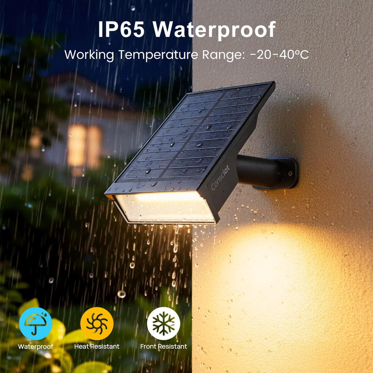 Consciot solar lights along yard path for evening visibility