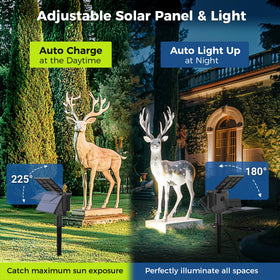 COOZAMING solar spot light offers three modes for varied nighttime scenes