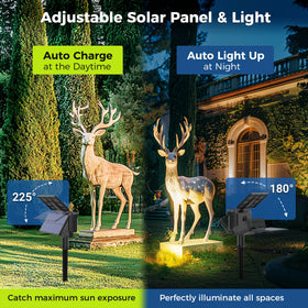 Coozaming wall-mount exterior solar light adds safety and style to your home.