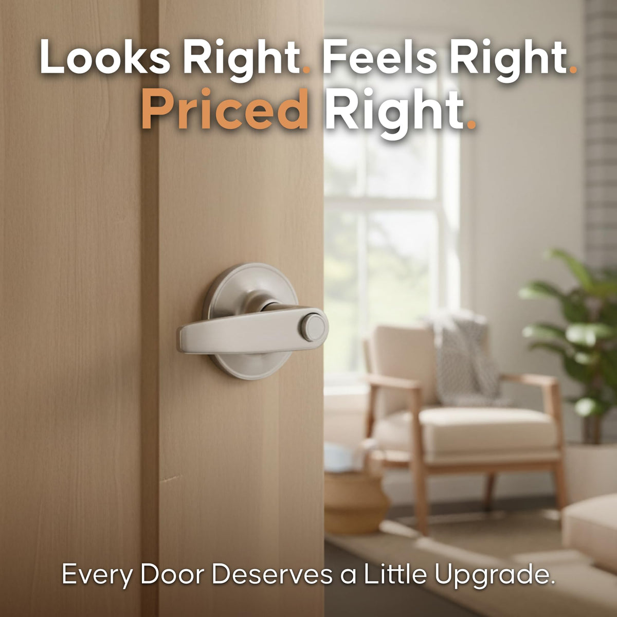 Daley privacy lever with push button shown for bedroom use.