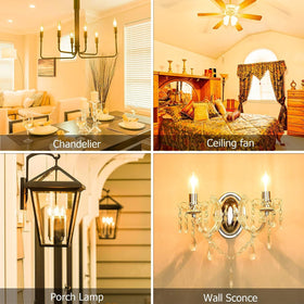 Cotanic 12-pack candle bulbs for easy lighting upgrades.
