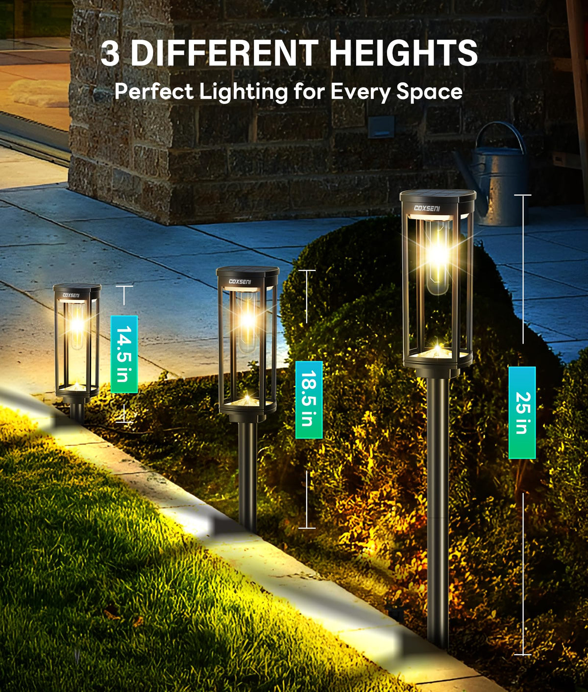 COXSENI IP65 waterproof lights endure rain and seasonal weather conditions.