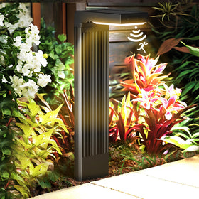 COXSENI height 23-6 inch stake displays tall, stable garden lighting.