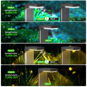COXSENI motion sensor activation illustrates instant lighting on movement.