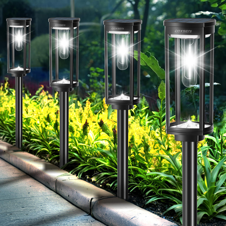 COXSENI solar path light with durable lens illuminating pathways