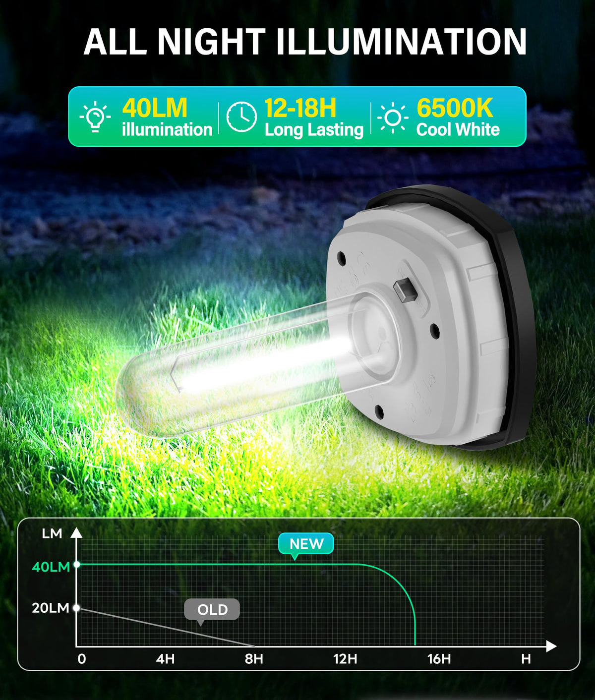 COXSENI solar pathway lights with LED filament provide brighter nighttime entry.