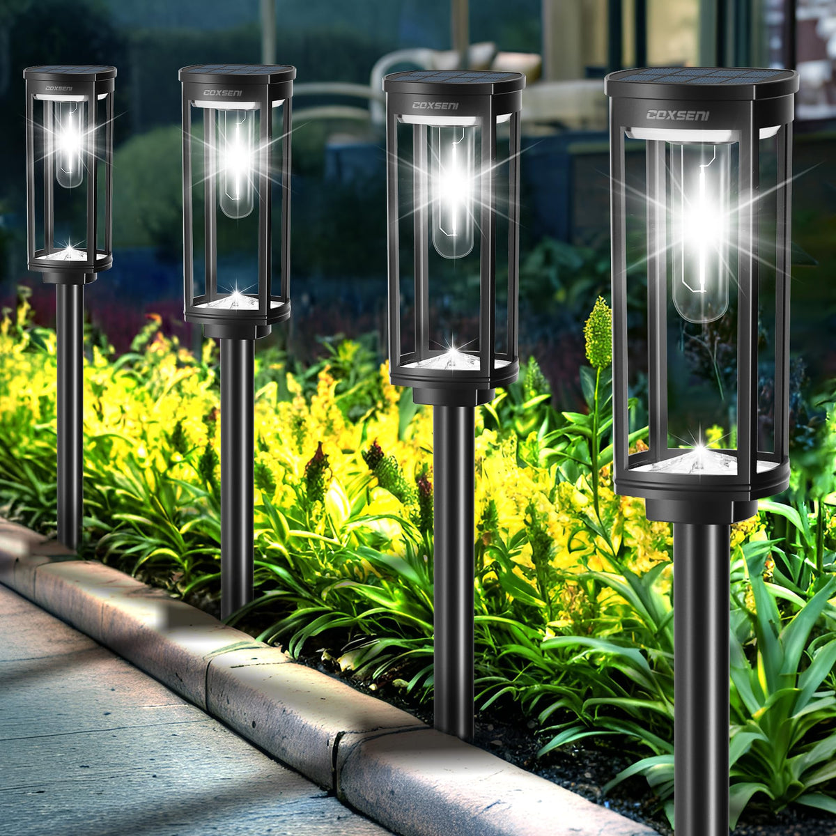 COXSENI solar pathway lights outdoors 6-pack illuminate walkways with inviting glow.
