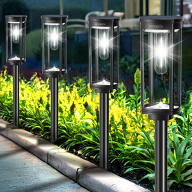 COXSENI solar pathway lights outdoors 6-pack illuminate walkways with inviting glow.