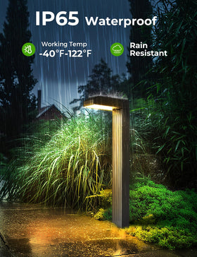 COXSENI tempered-glass solar panel maintains high transmittance and durability