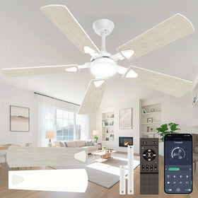 Crazypai 52 inch ceiling fan with lights for bright, cooling comfort in any room