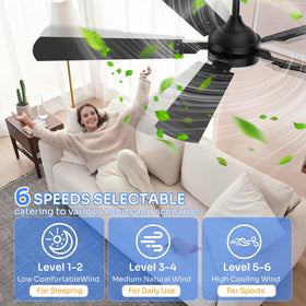 Crazypai dual-sided blades in black and natural wood for versatile decor