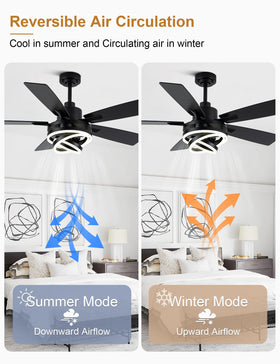 Curve Curio reversible blades for practical seasonal airflow