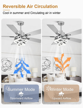 Curve Curio three-color temperature options adapt lighting to mood.