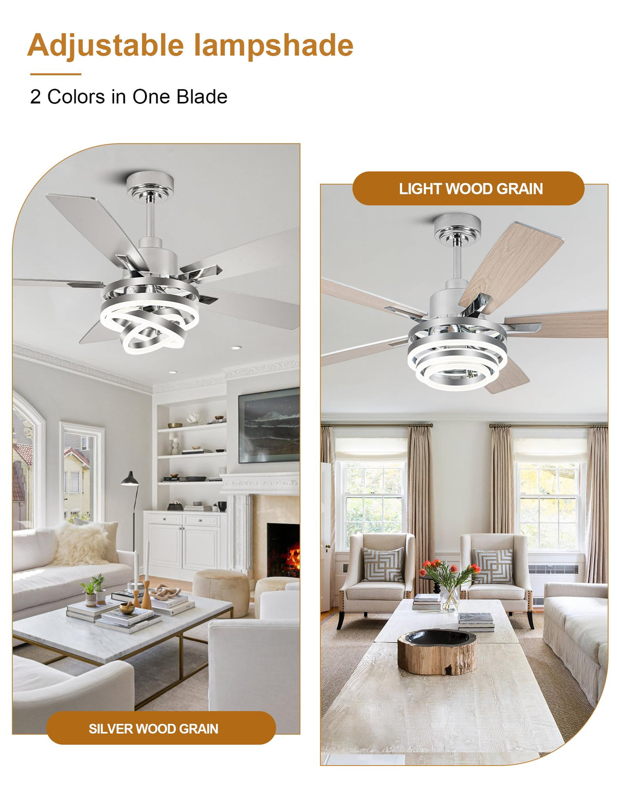 Curve Curio remote and app control enables quiet, convenient operation.