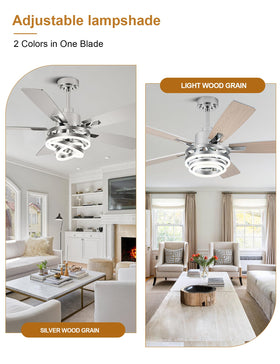 Curve Curio remote and app control enables quiet, convenient operation.