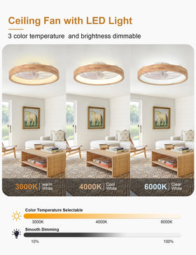 Curve Curio remote control enables quick speed and light adjustments.
