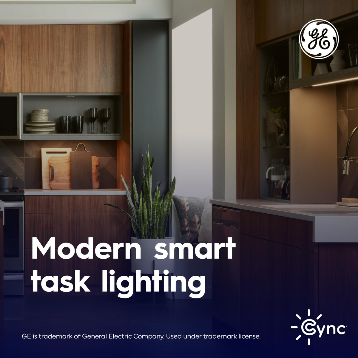 Cync Reveal HD+ 24in voice control setup enables hands-free operation
