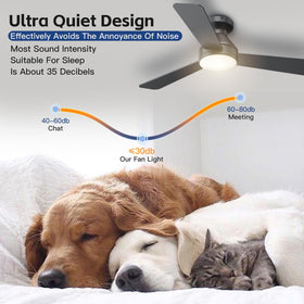 DAHUICFL Black ceiling fan with remote in a living space.