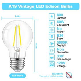 Dalattin A19 clear glass filament LED bulb ideal for living room lighting