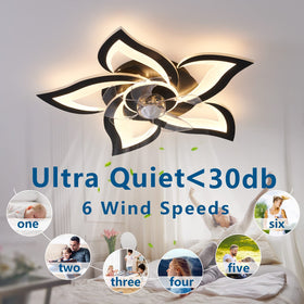 Dalouguan built-in 2x36W LED lights deliver bright, even illumination.