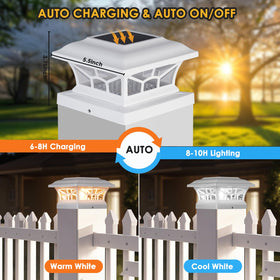 DAMAYCA cool white mode for bright security lighting along fences
