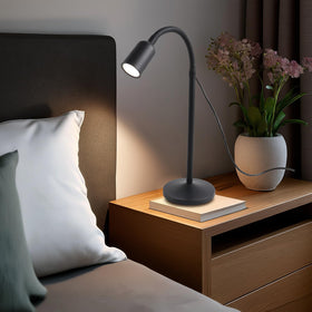 DAMI multi-use lamp suits study, video calls, and ambient lighting.
