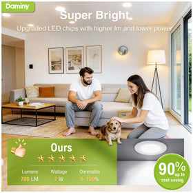 DAMINY 4-inch LED recessed light delivering bright 700 lumens efficiently.