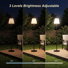Dansny cordless design frees you from trailing cables.