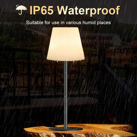 Dansny detachable design lamp with modular shade and base for portability.