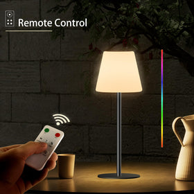 Dansny IP65-rated outdoor lamp shown in rain, highlighting waterproof durability.