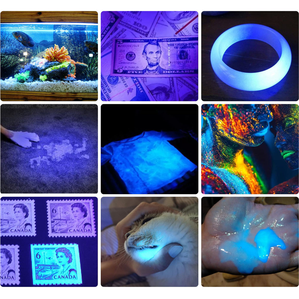 DARKBEAM A100 UV light 365-395 nm highlights fluorescence for stains and security checks.