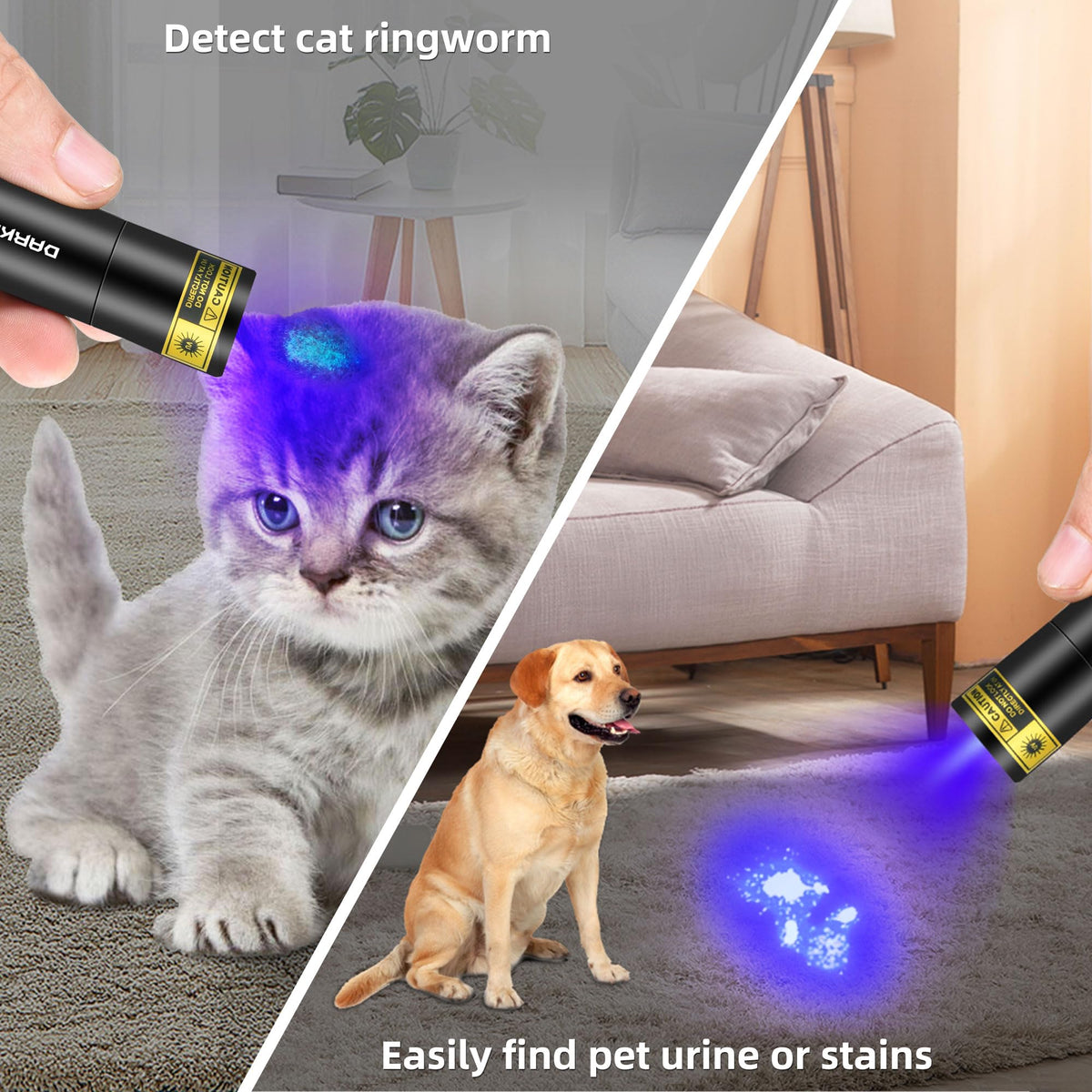DARKBEAM compact UV flashlight fits in pocket for portable checks.