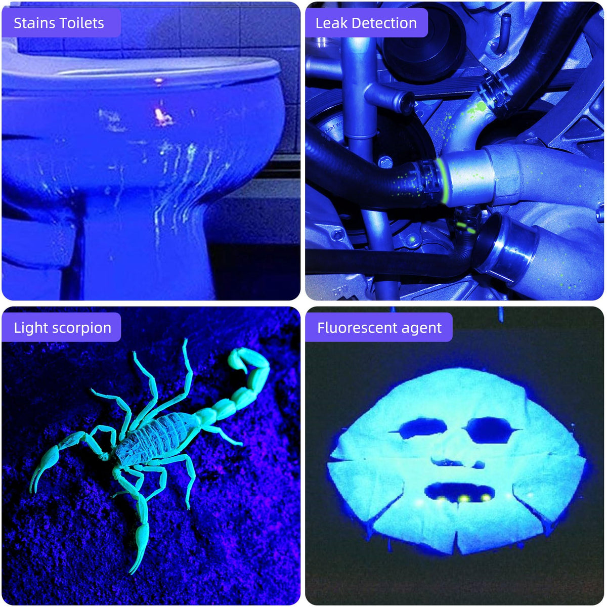 Darkbeam pocket blacklight easily fits in a bag for quick checks.