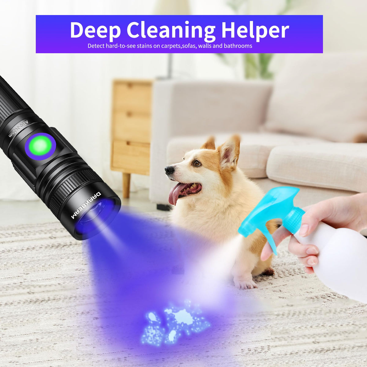 Darkbeam USB-C rechargeable UV torch ready for portable detection