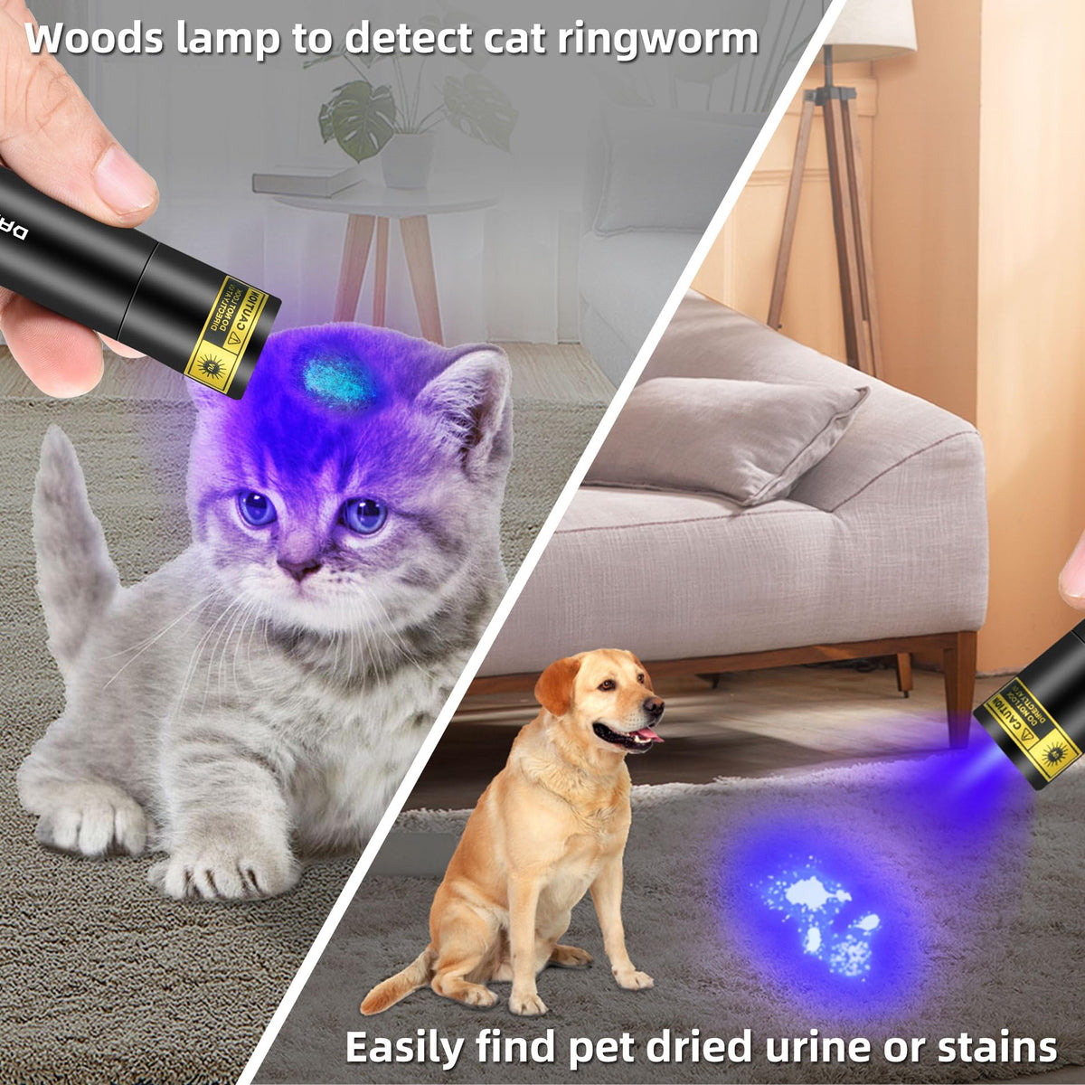 Darkbeam USB rechargeable UV light for convenient on-the-go illumination.