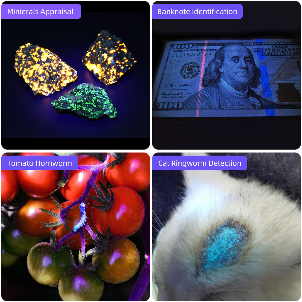 DARKBEAM UV light helps detect stains, resins, minerals, and glow features.