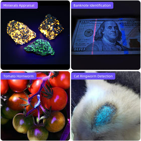 DARKBEAM UV light helps detect stains, resins, minerals, and glow features.