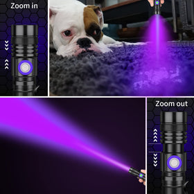 DARKBEAM UV 395nm detects pet urine stains on surfaces.
